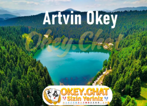 Artvin Okey Oyna