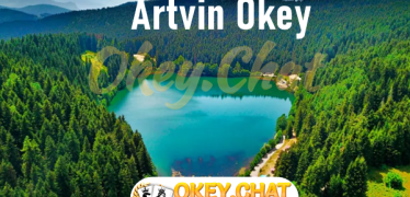 Artvin Okey Oyna