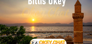 Bitlis Okey Oyna