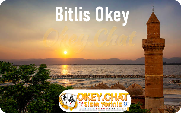 Bitlis Okey Oyna