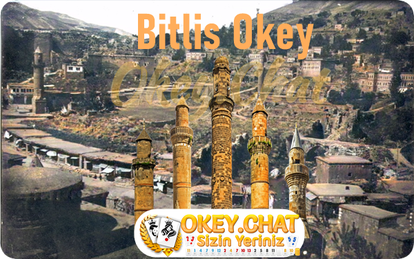 Bitlis Okey