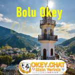 Bolu Okey Oyna