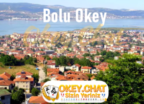 Bolu Okey