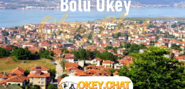 Bolu Okey