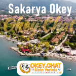 Sakarya Okey Oyna
