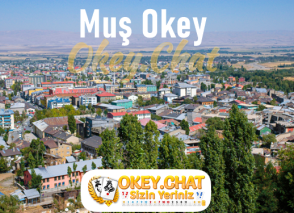 Muş Okey Oyna