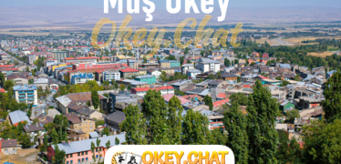 Muş Okey Oyna