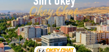 Siirt Okey Oyna
